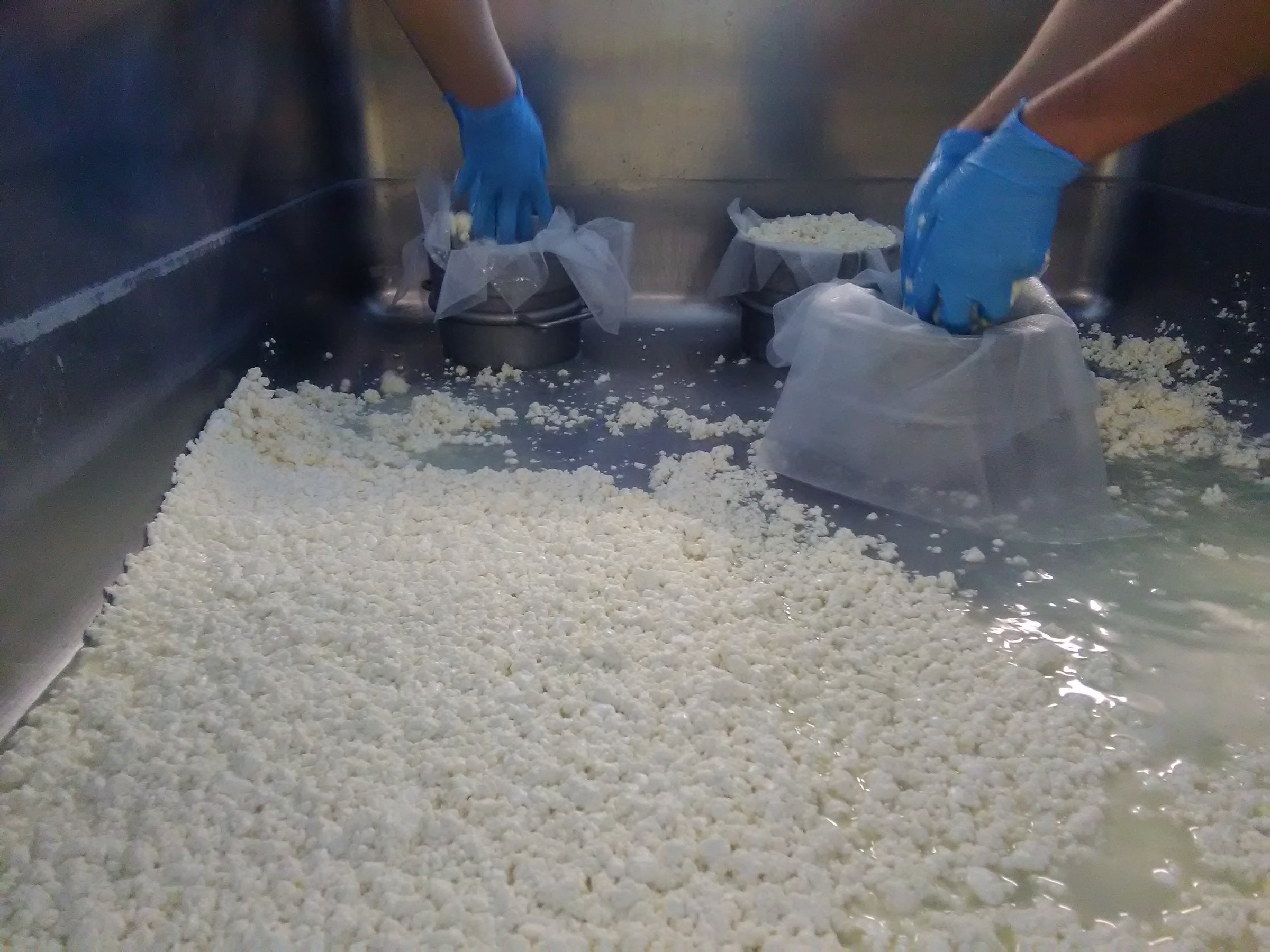 Bangor dairy company has become Maine's largest cheesemaker